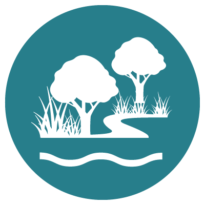 Waterway conditions - Vegetation Waterway conditions - Vegetation