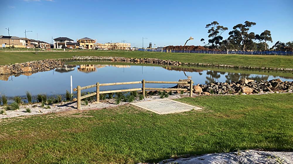 Wetland at Rockbank