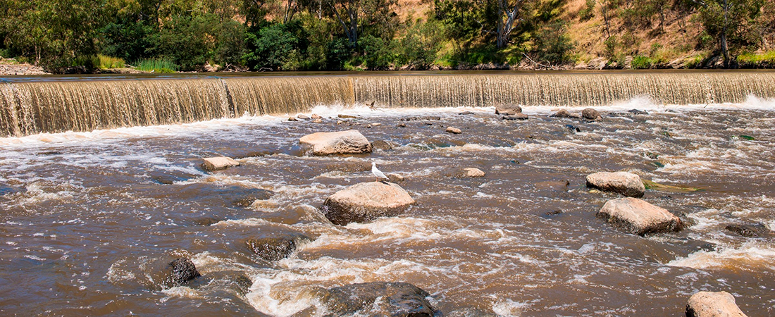 Dight Falls Weir and fishway