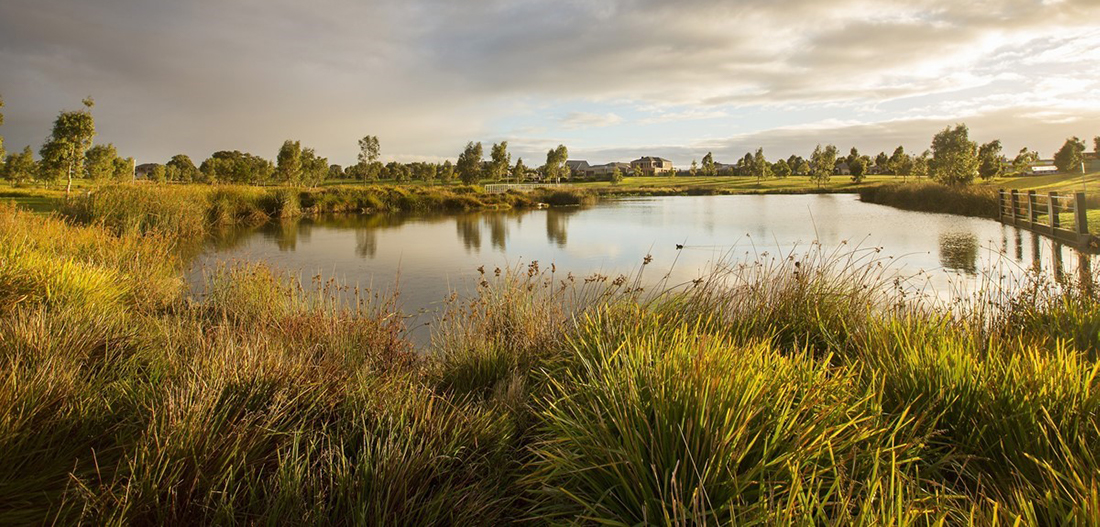 Stormwater treatment wetland, Central Park Estate, Malcolm Creek